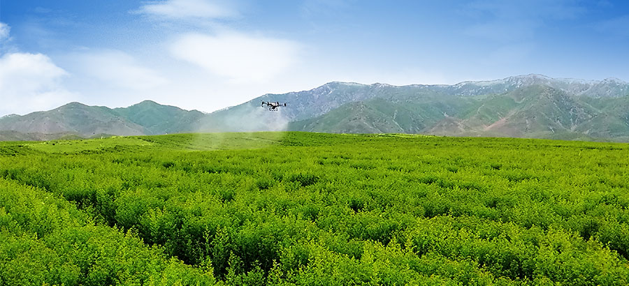 凯时|AG(AsiaGaming)优质运营商